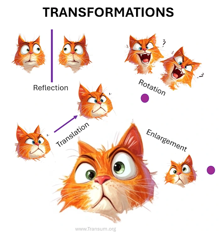 Transformations of Cats