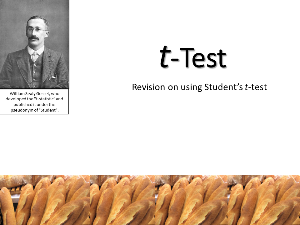t-Test Revision