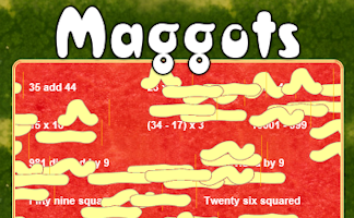 Maggots