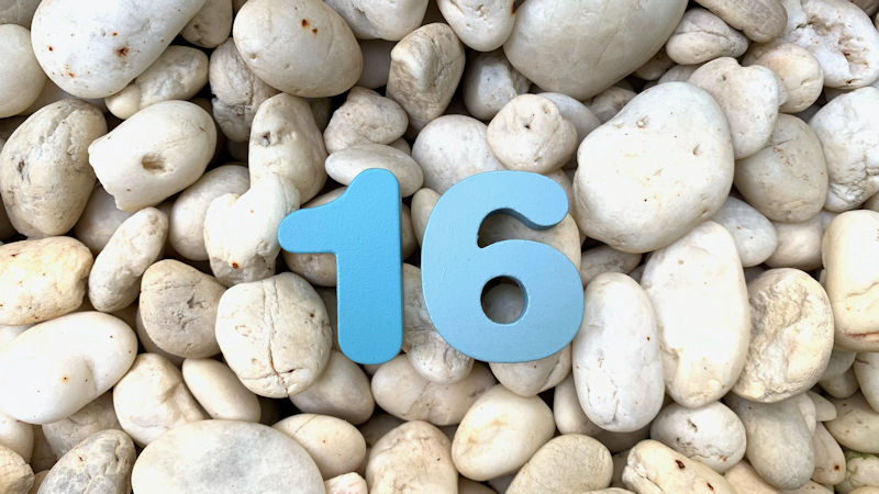 The number sixteen
