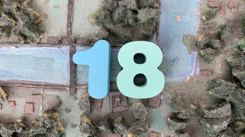 The number eighteen