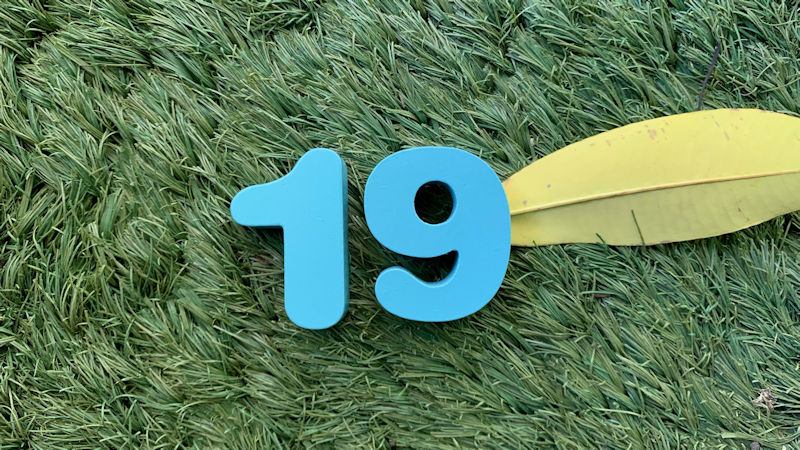 The number nineteen