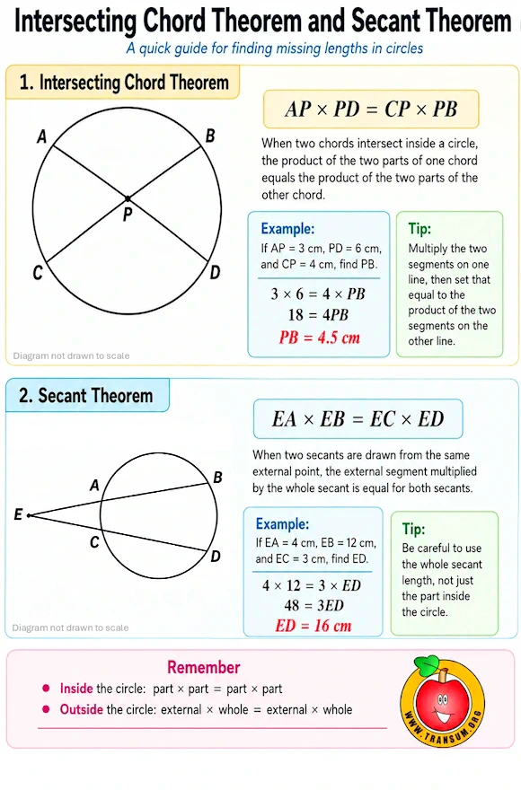 Infographic