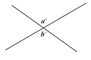 Vertically opposite angles